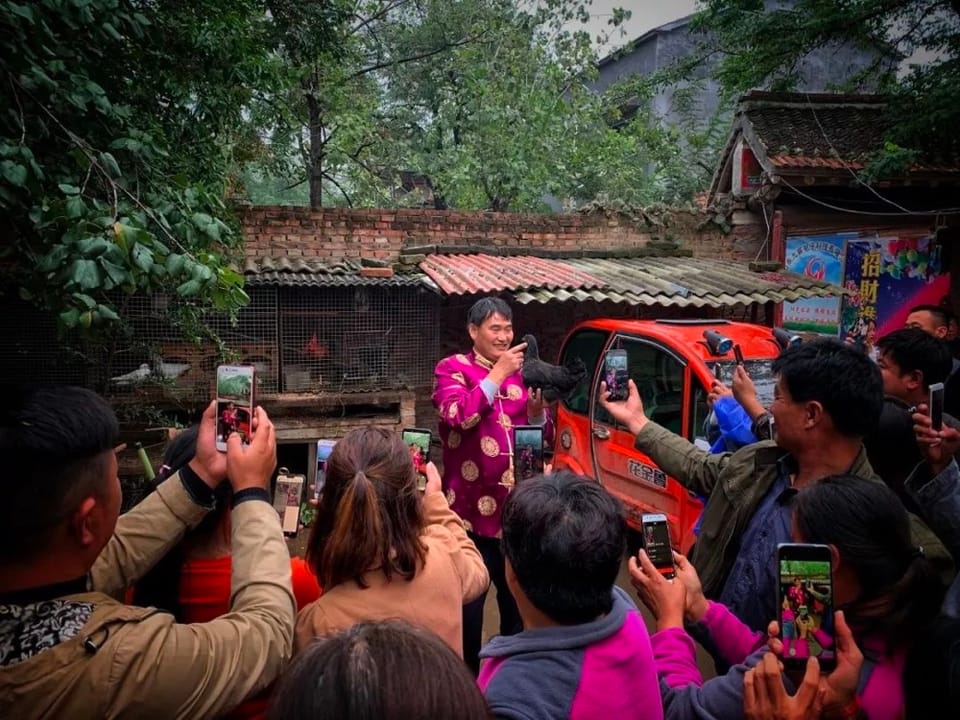 【报道】朱之文在铁门上唱歌